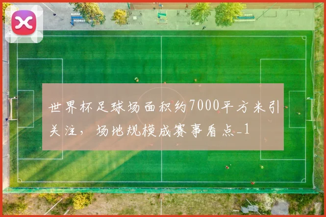世界杯足球场面积约7000平方米引关注,场地规模成赛事看点_1