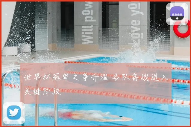 世界杯冠军之争升温 各队备战进入关键阶段