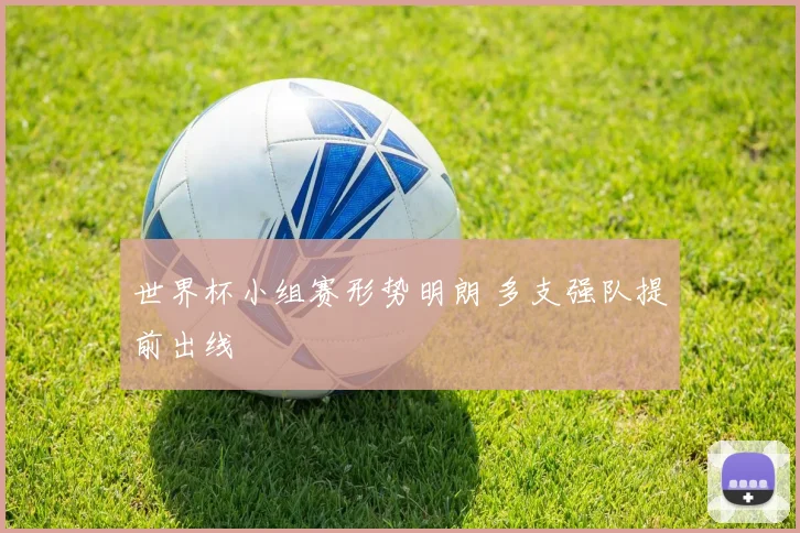 世界杯小组赛形势明朗 多支强队提前出线