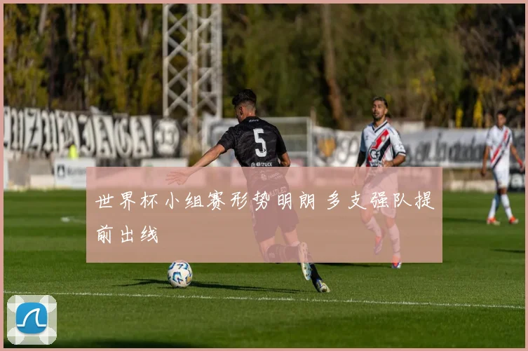 世界杯小组赛形势明朗 多支强队提前出线