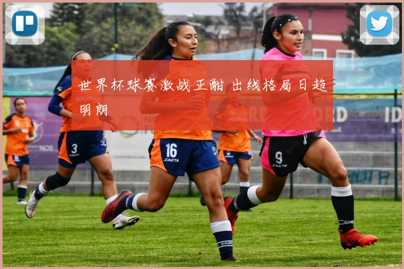 世界杯球赛激战正酣 出线格局日趋明朗