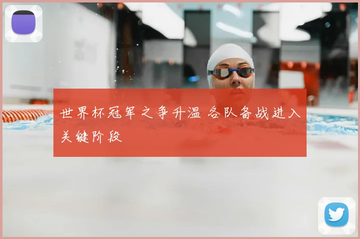 世界杯冠军之争升温 各队备战进入关键阶段