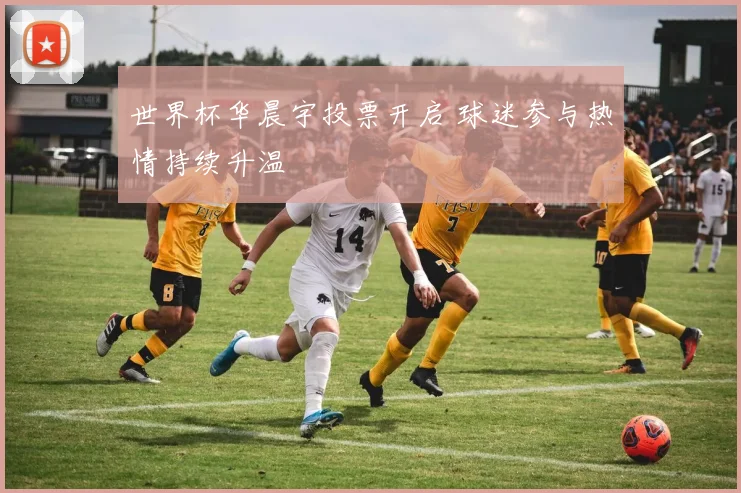 世界杯华晨宇投票开启 球迷参与热情持续升温